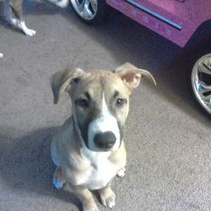 Meet your Posher, Everardo